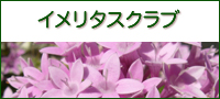 �C�����^�X�N���u